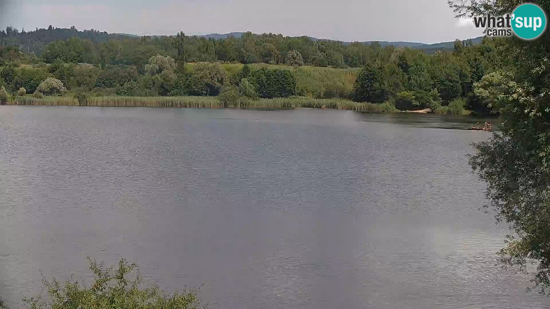 Live Webcam Kočevje-See – Slowenien