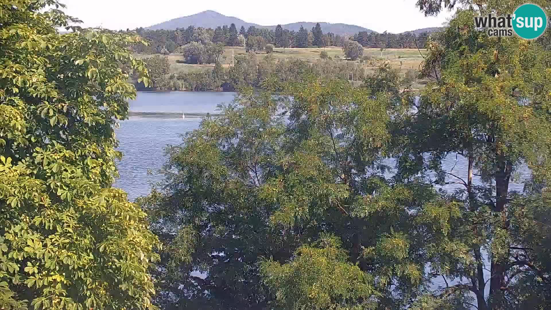 Camera en vivo Lago Kočevje