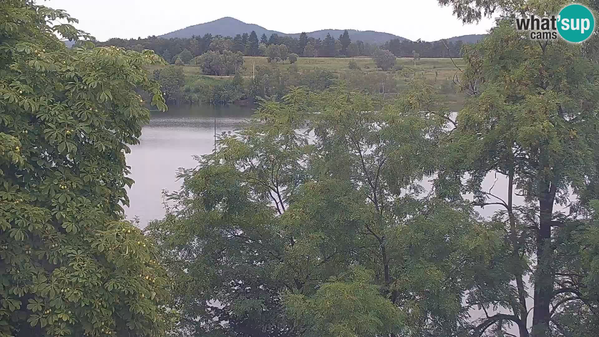 Web kamera Kočevje jezero – Slovenija