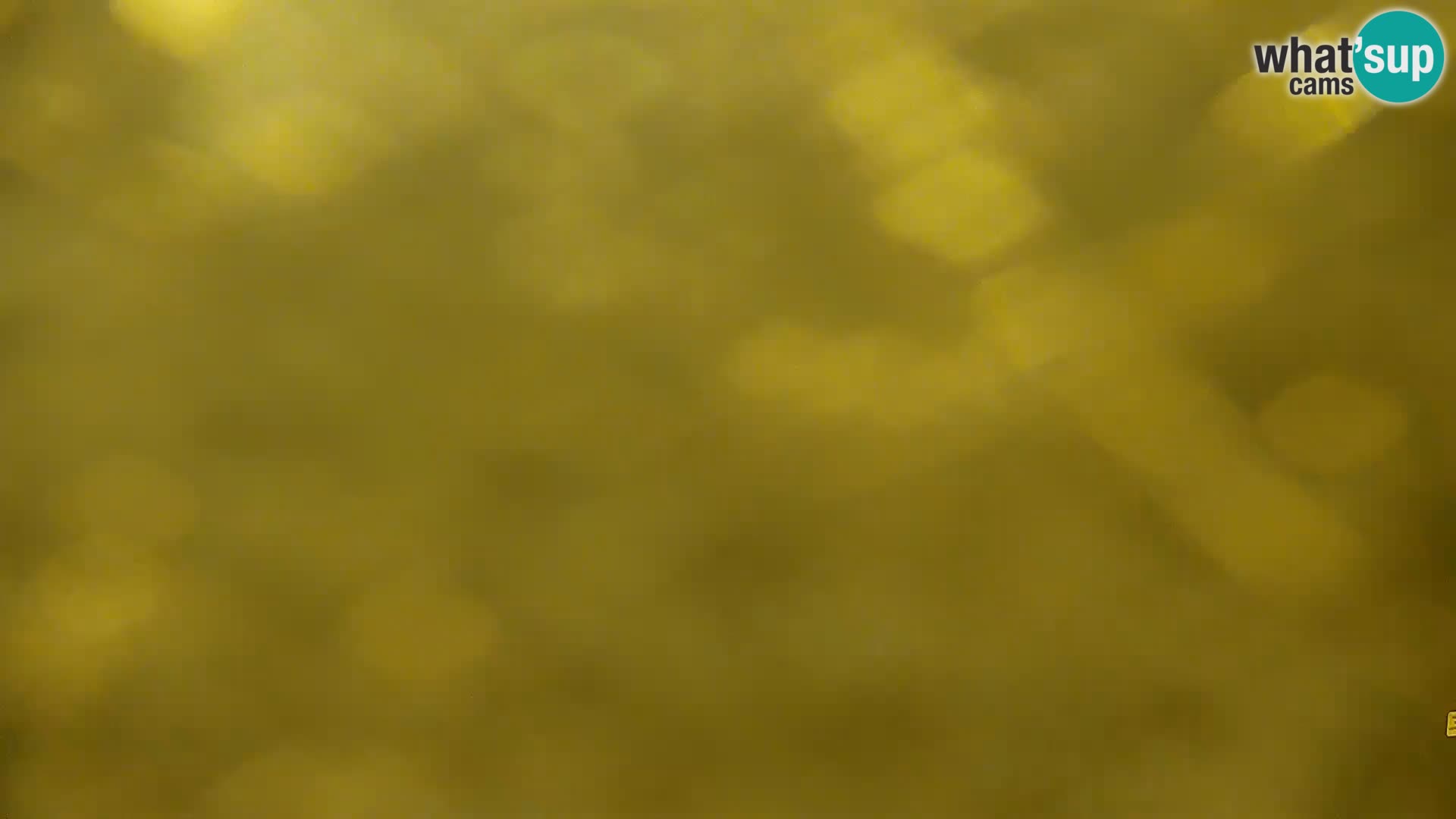 Livecam Lac Kočevje