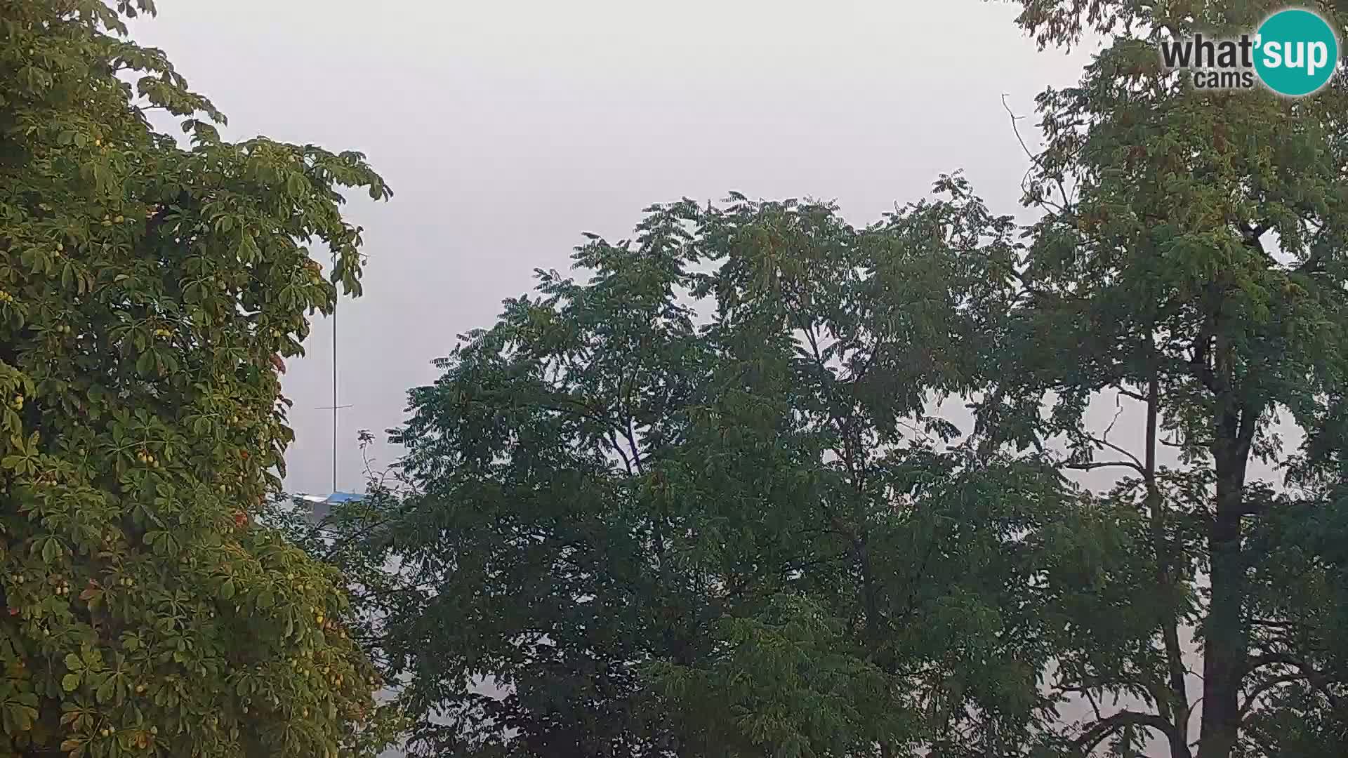 Live Webcam Kočevje lake