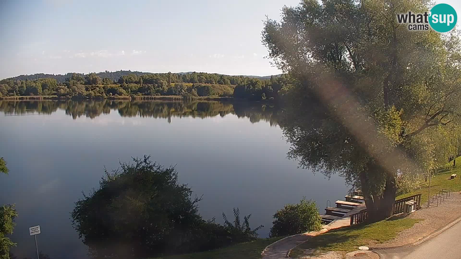 Live Webcam Kočevje lake