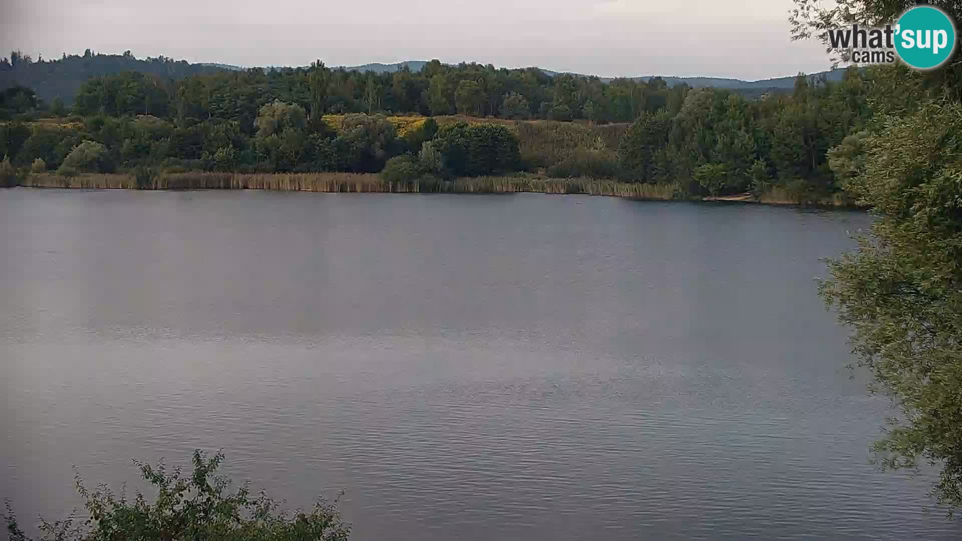 Kamera v živo Kočevsko jezero