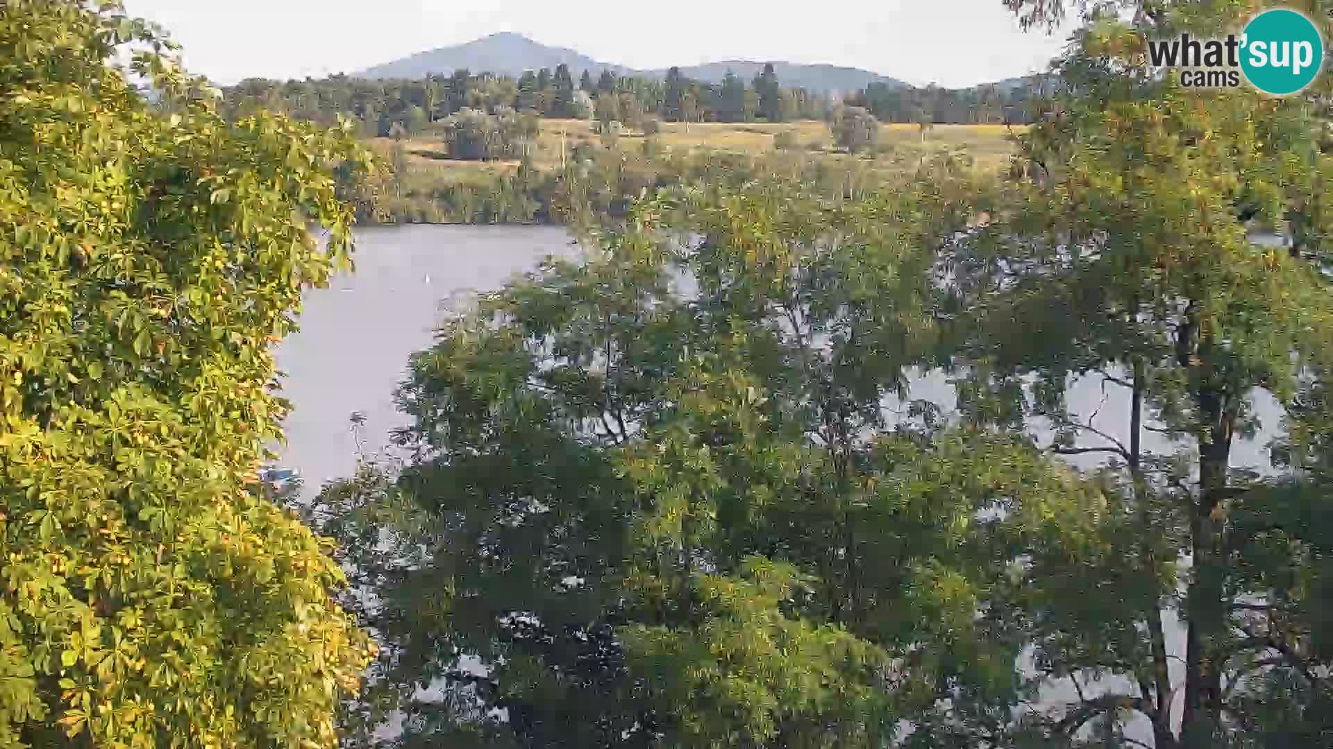 Web kamera Kočevje jezero – Slovenija