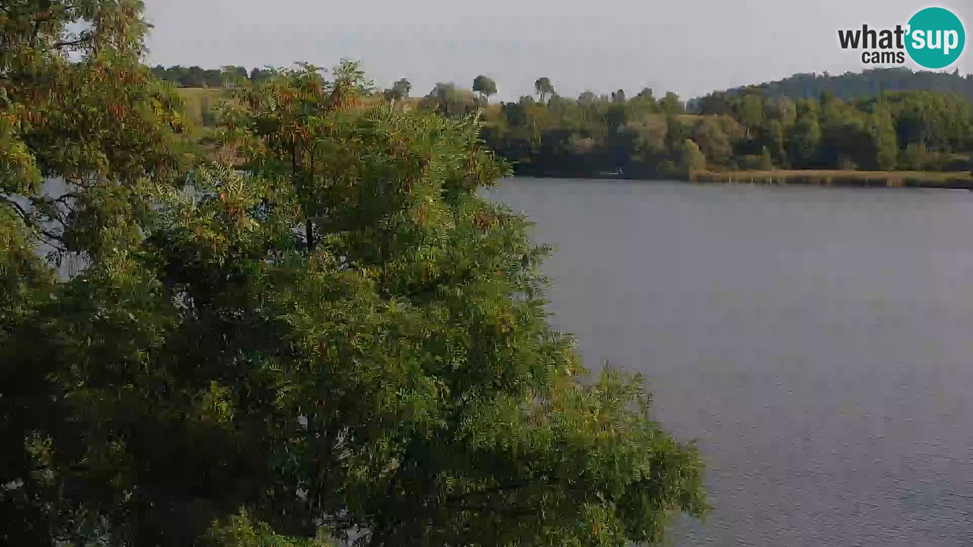 Web kamera Kočevje jezero – Slovenija
