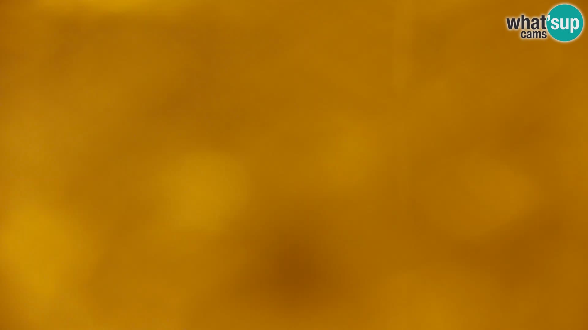 Camera en vivo Lago Kočevje