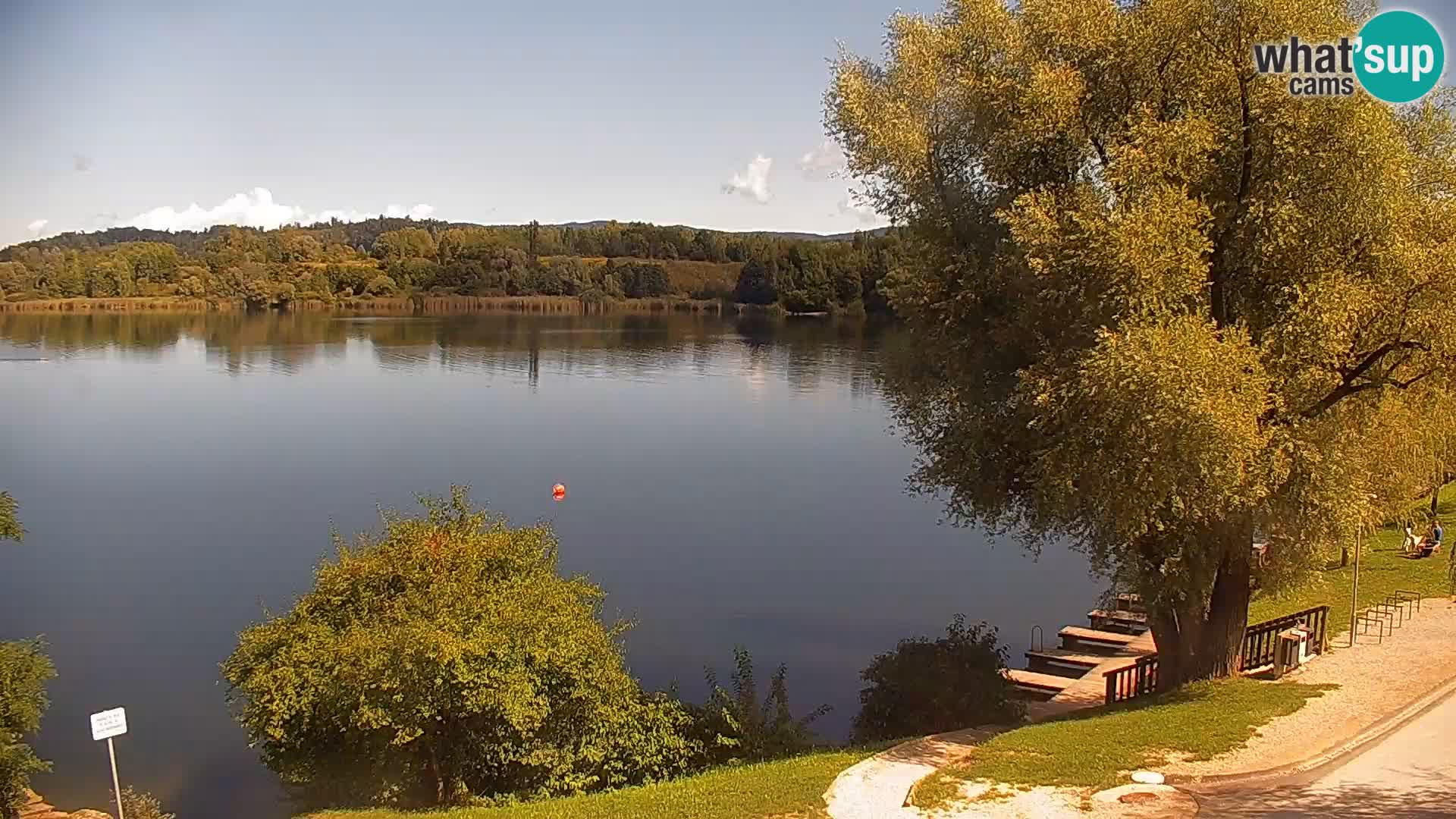 Camera en vivo Lago Kočevje