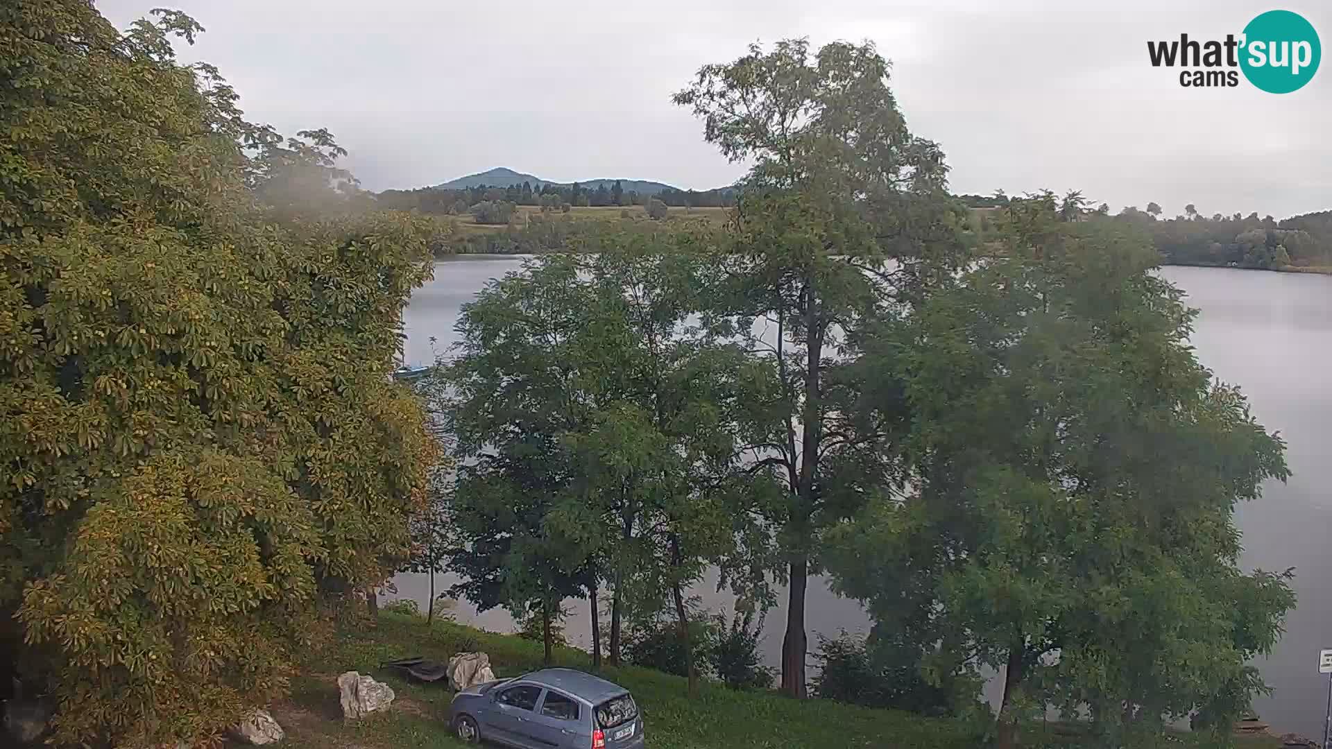 Kamera v živo Kočevsko jezero