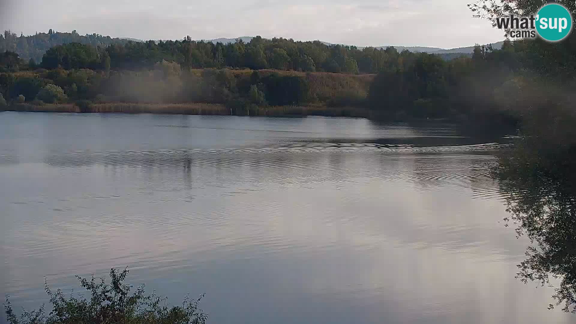 Camera en vivo Lago Kočevje