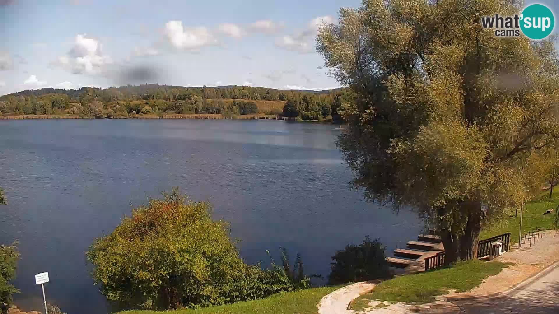 Livecam Lac Kočevje