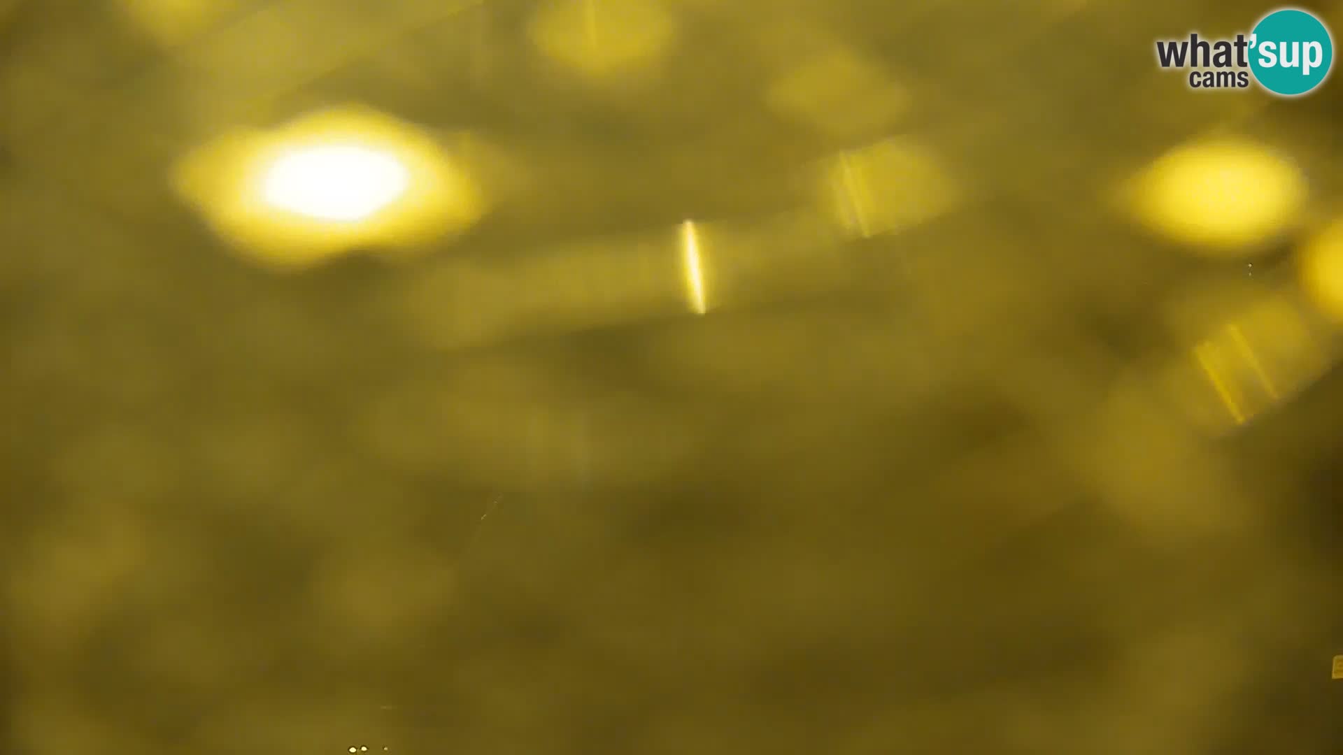 Camera en vivo Lago Kočevje