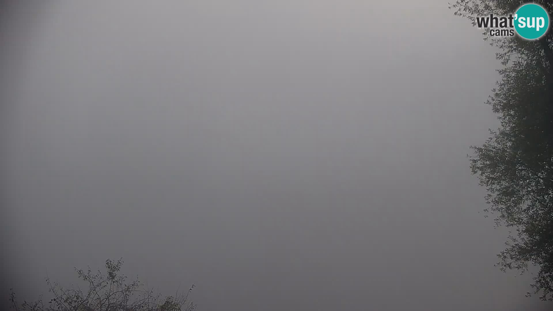 Livecam Lac Kočevje
