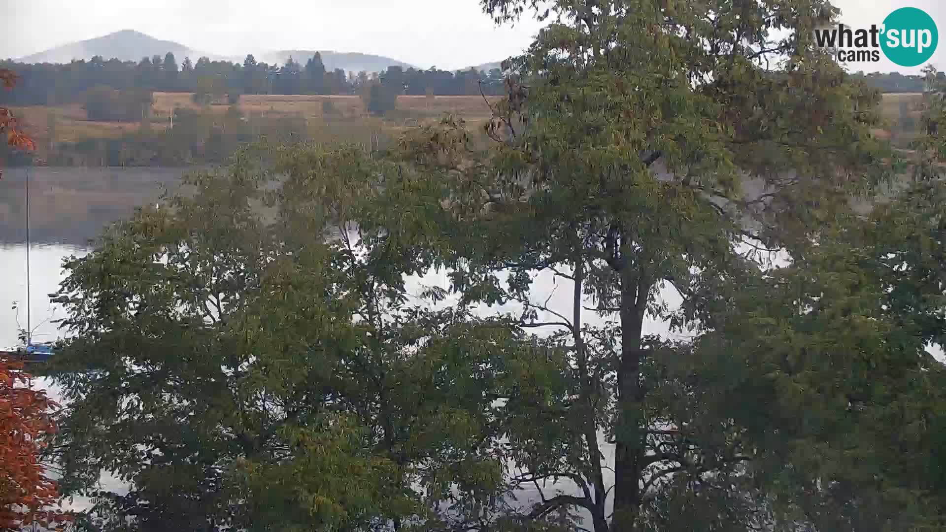 Kamera v živo Kočevsko jezero
