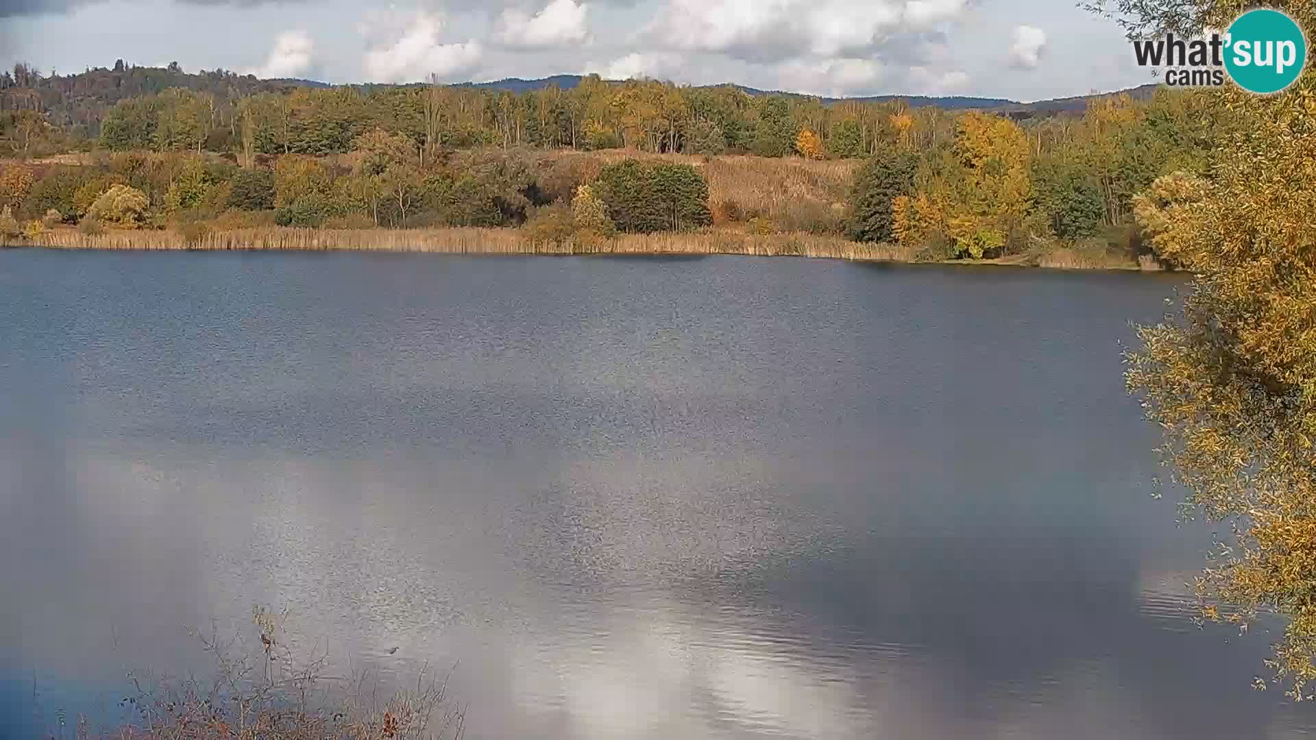 Kamera v živo Kočevsko jezero