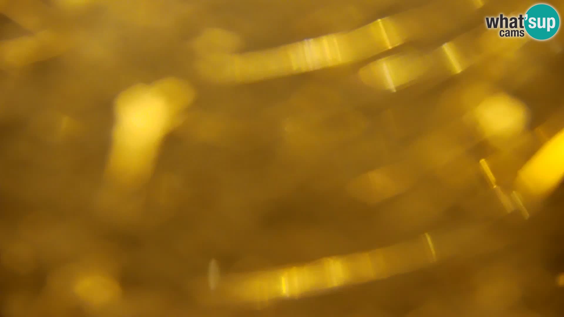 Camera en vivo Lago Kočevje