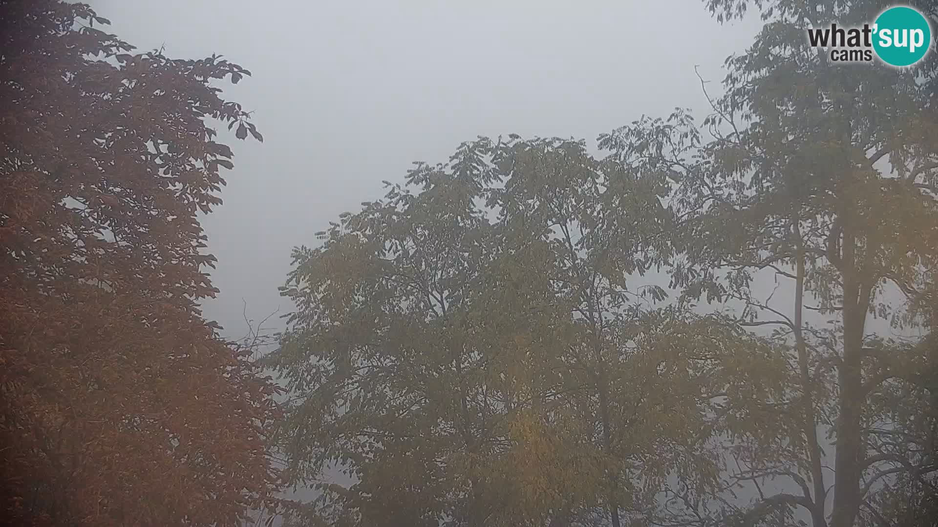 Camera en vivo Lago Kočevje