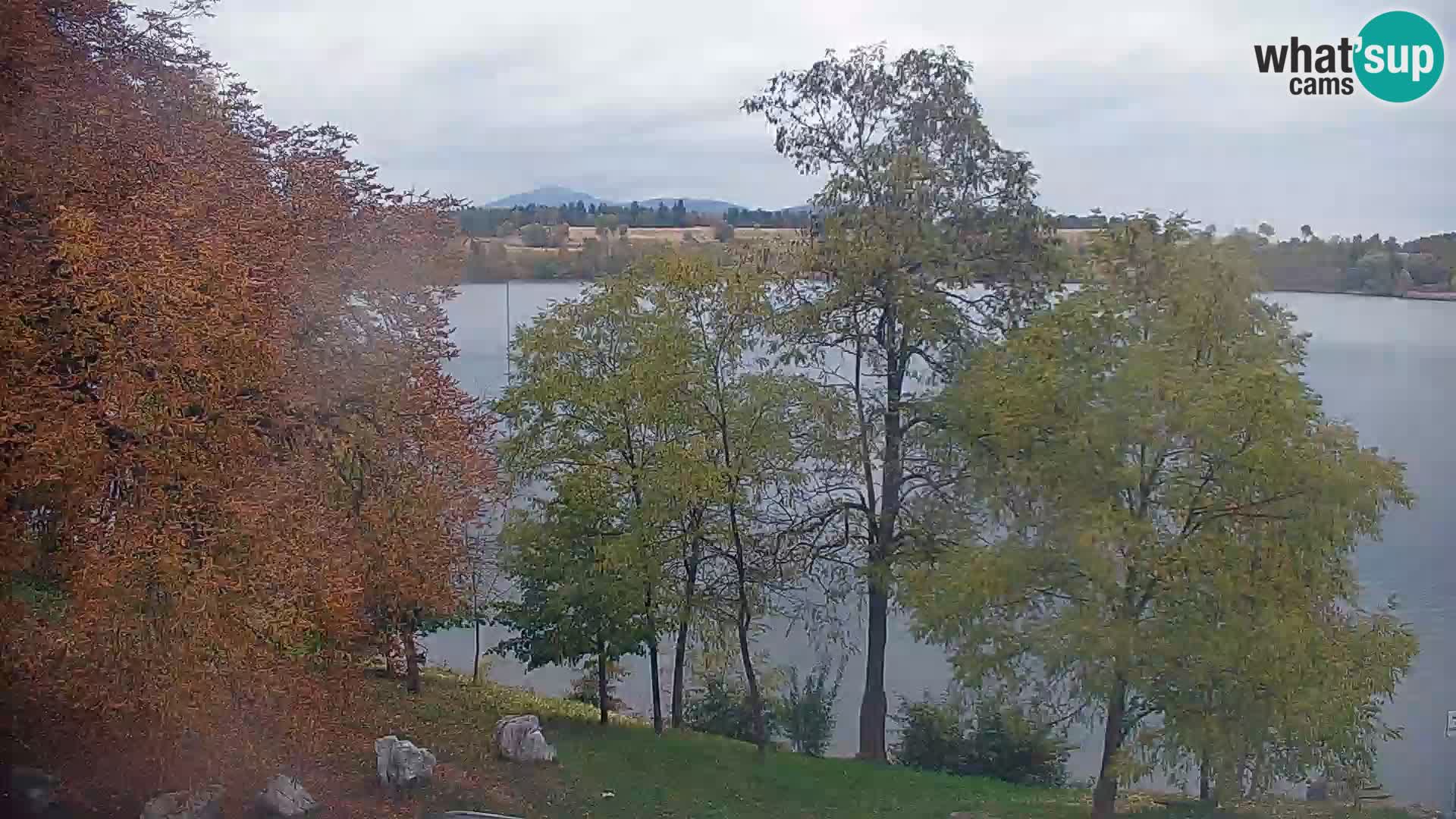 Web kamera Kočevje jezero – Slovenija