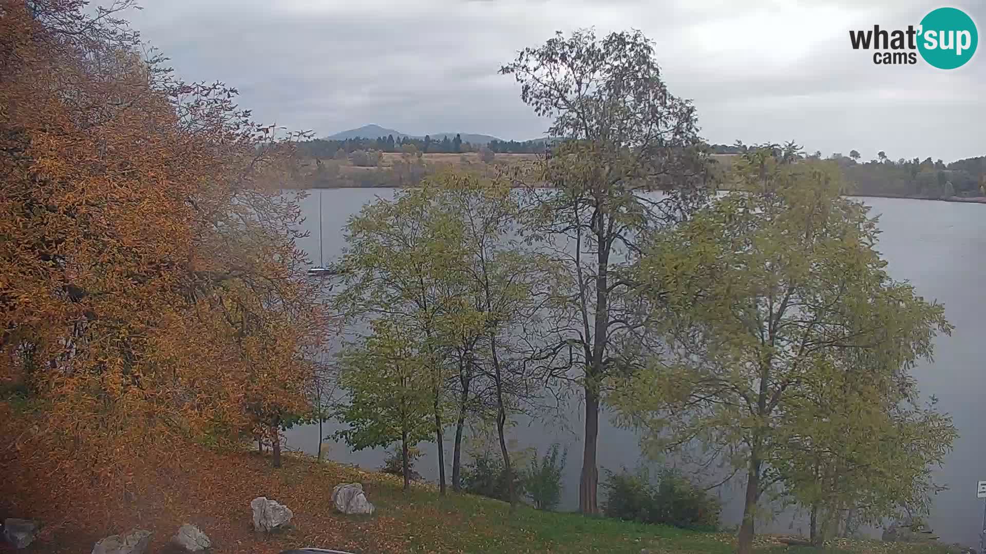 Live Webcam Kočevje lake