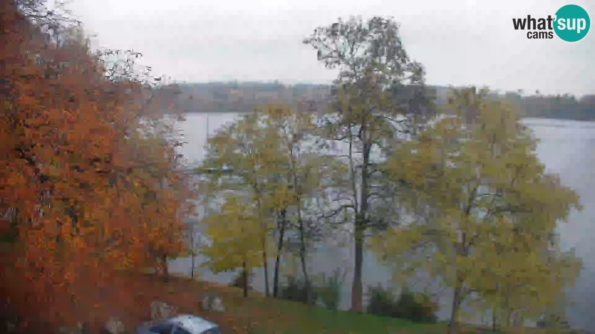 Livecam Lac Kočevje
