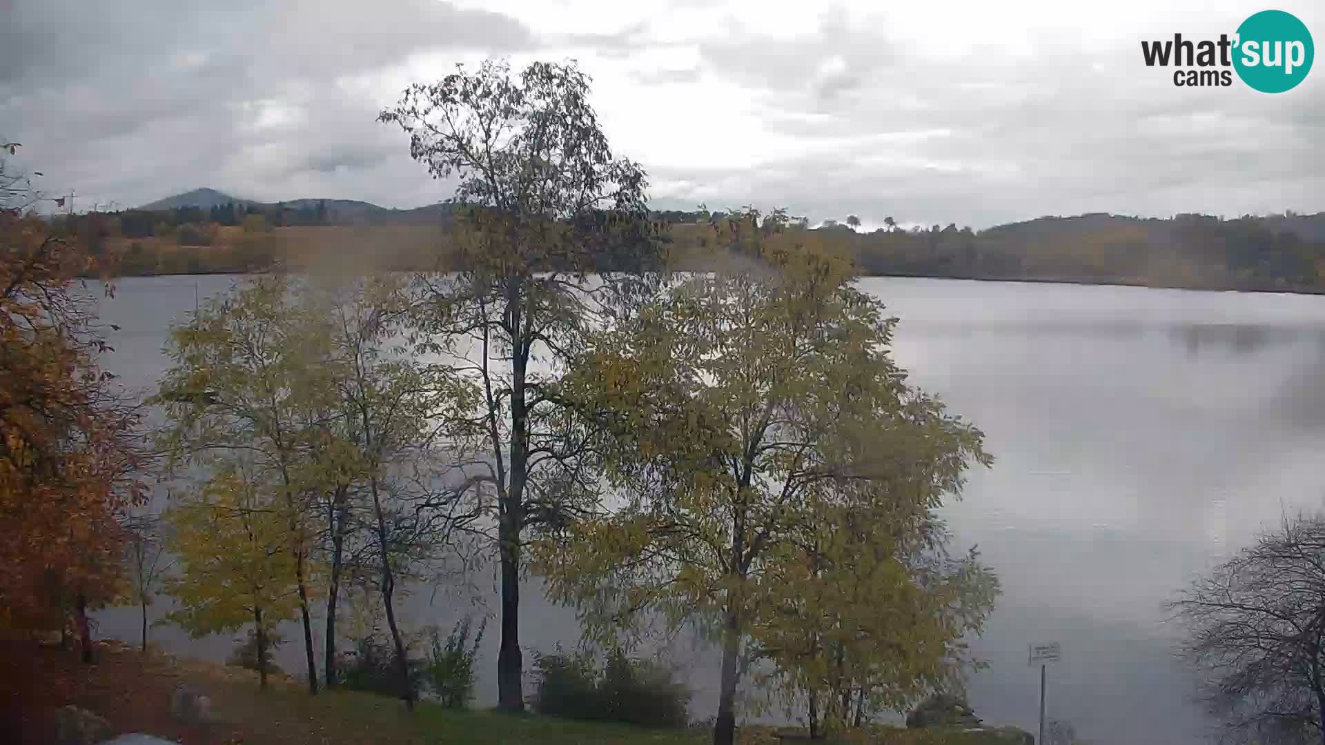 Livecam Lac Kočevje
