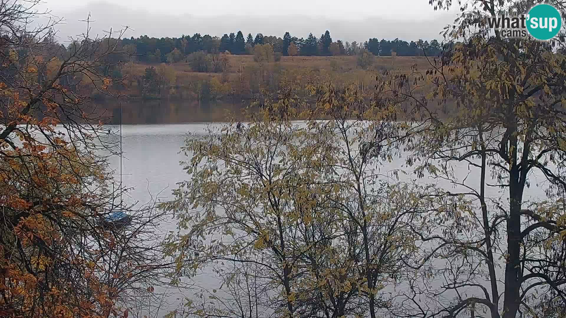 Camera en vivo Lago Kočevje