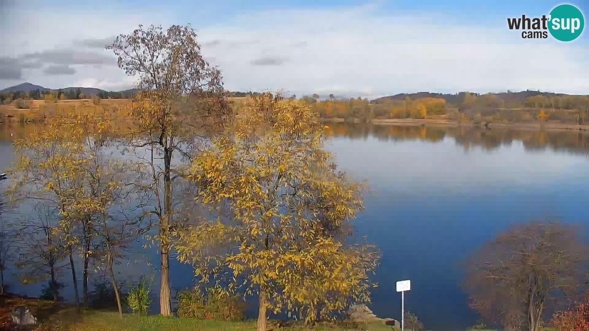 Live Webcam Kočevje lake