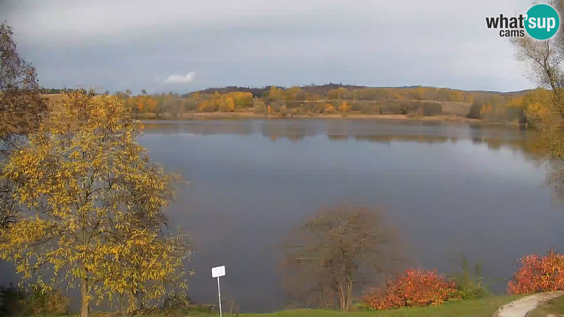 Camera en vivo Lago Kočevje