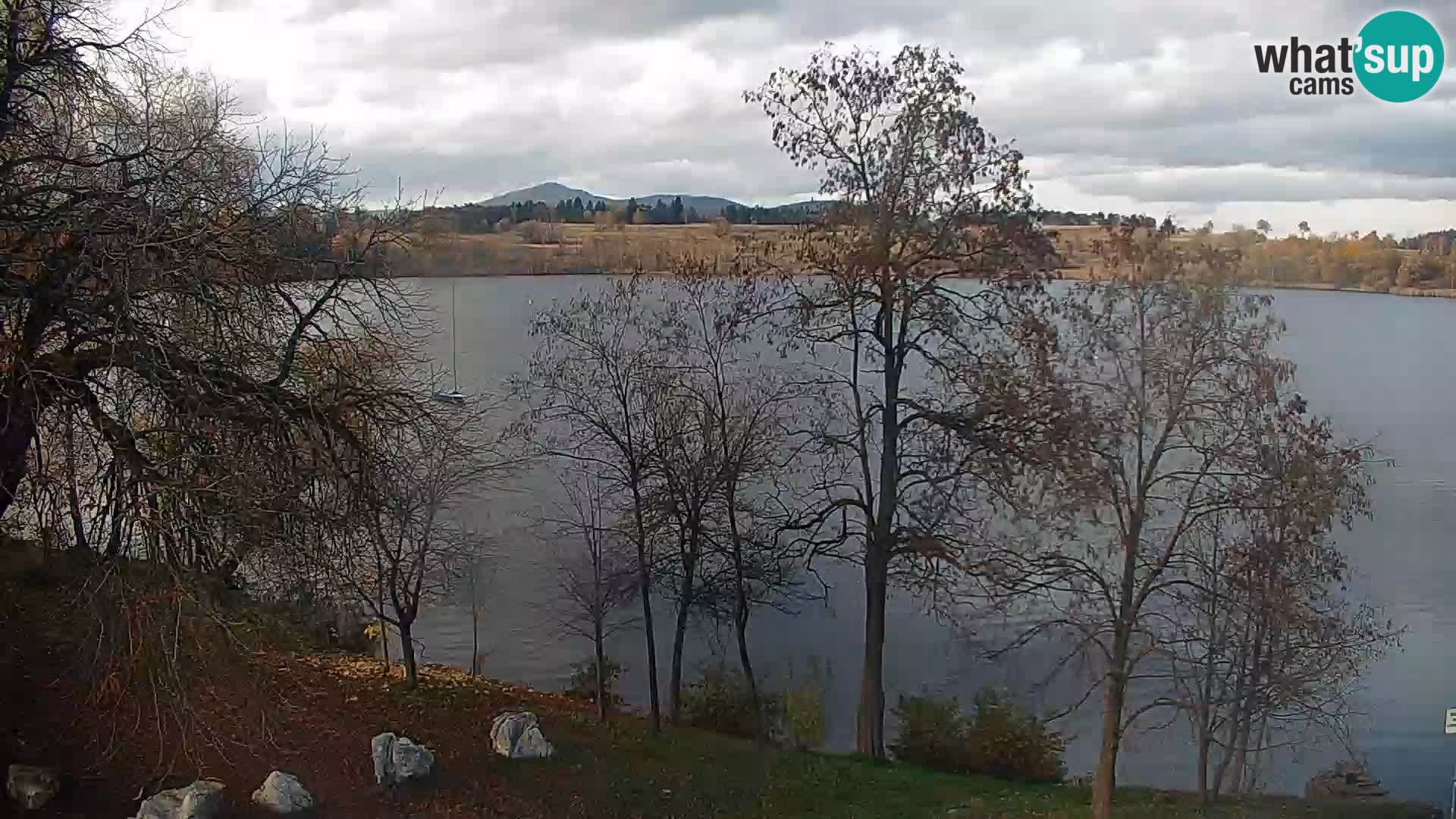Livecam Lac Kočevje