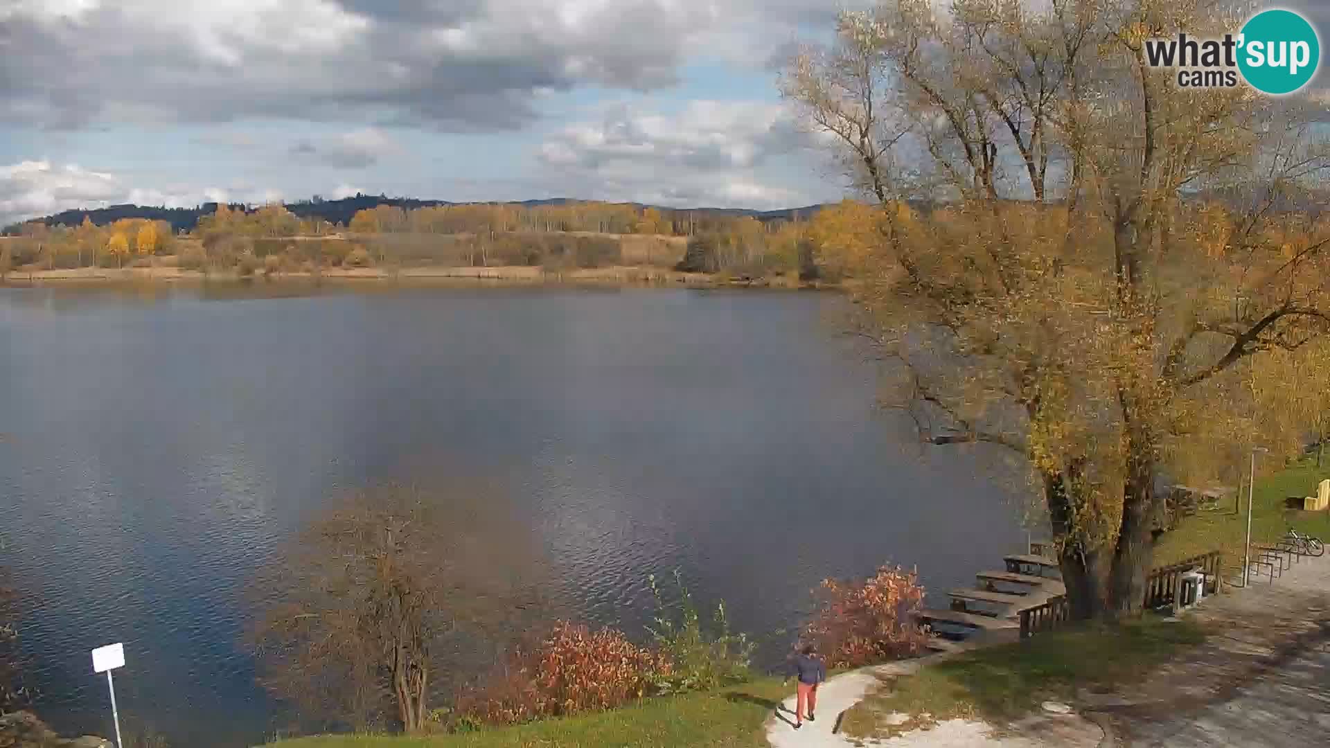 Kamera v živo Kočevsko jezero