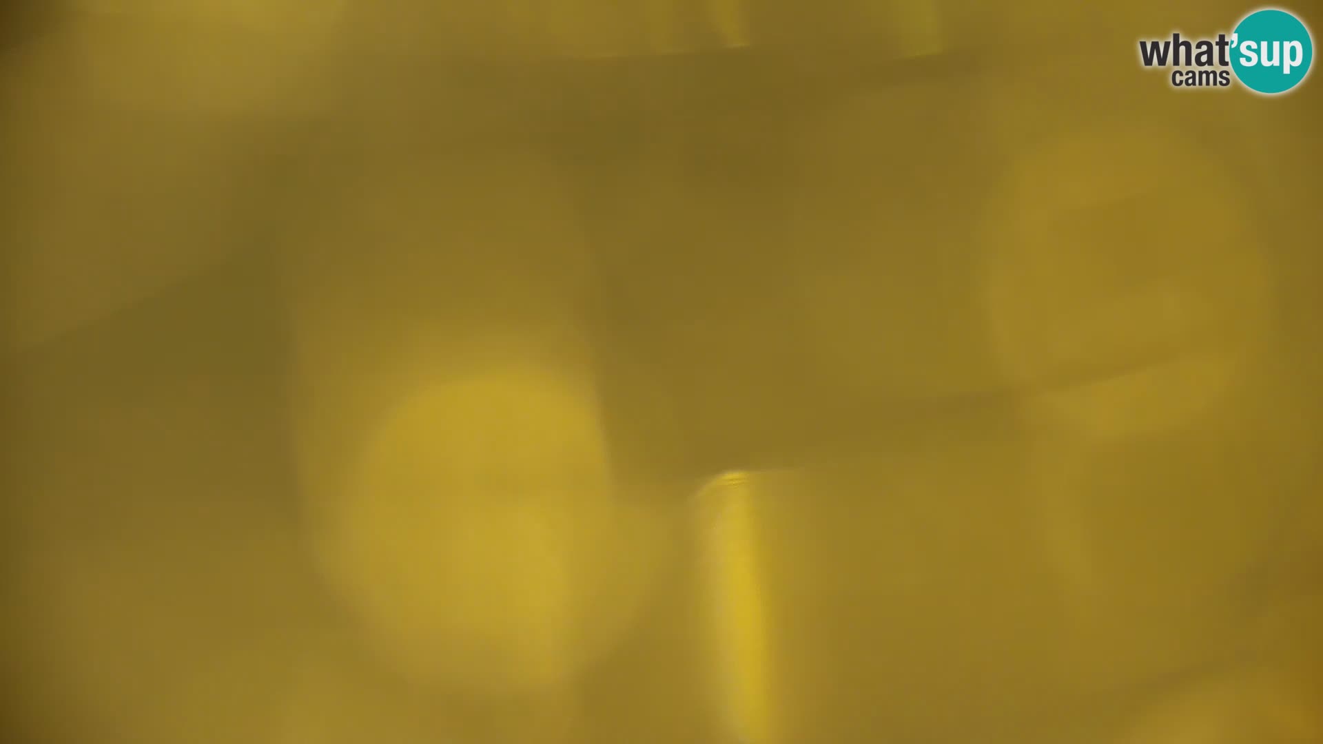 Live Webcam Kočevje lake