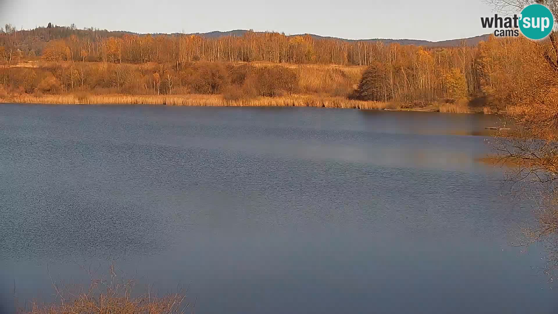 Live Webcam Kočevje-See – Slowenien
