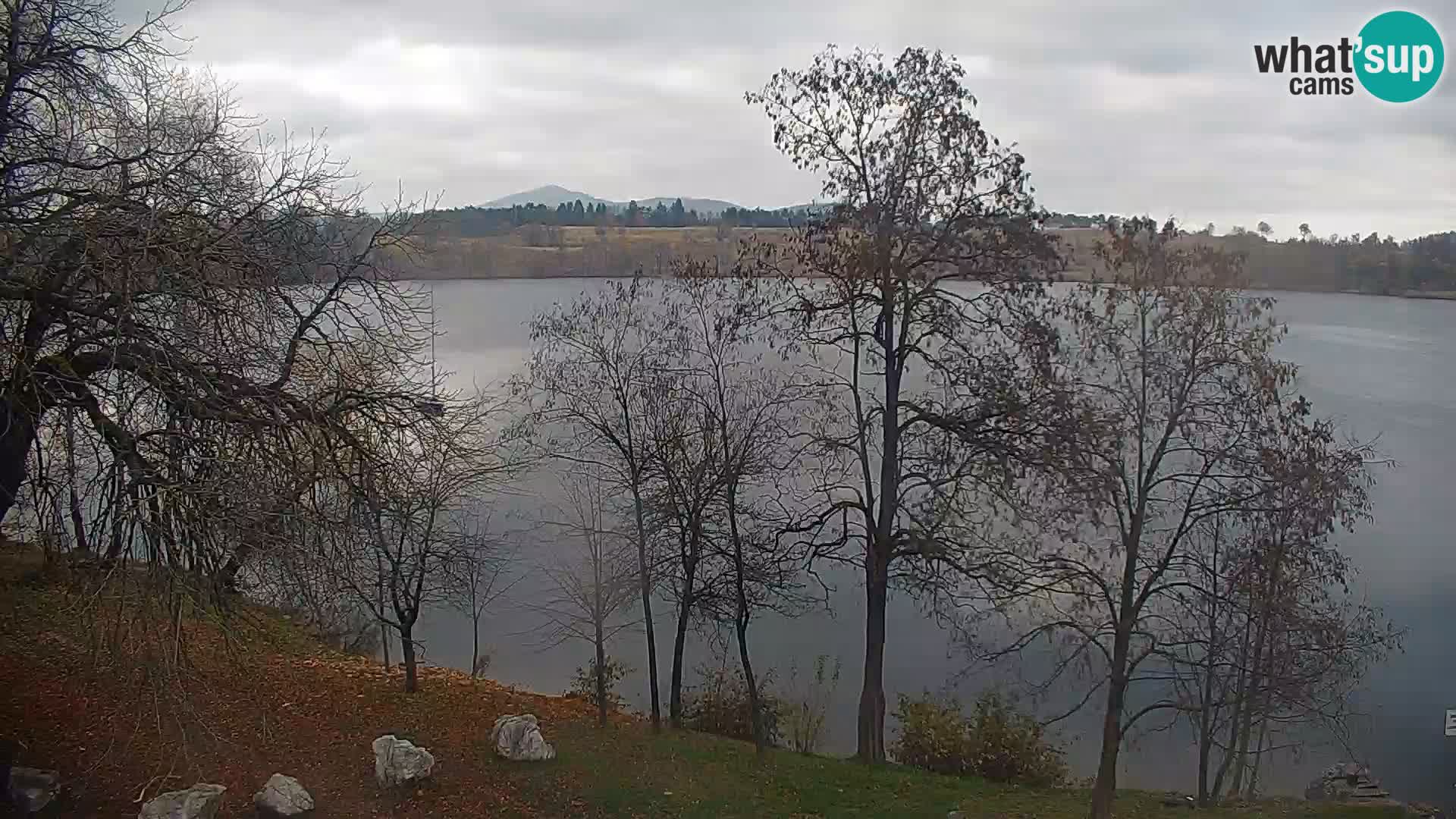 Web kamera Kočevje jezero – Slovenija