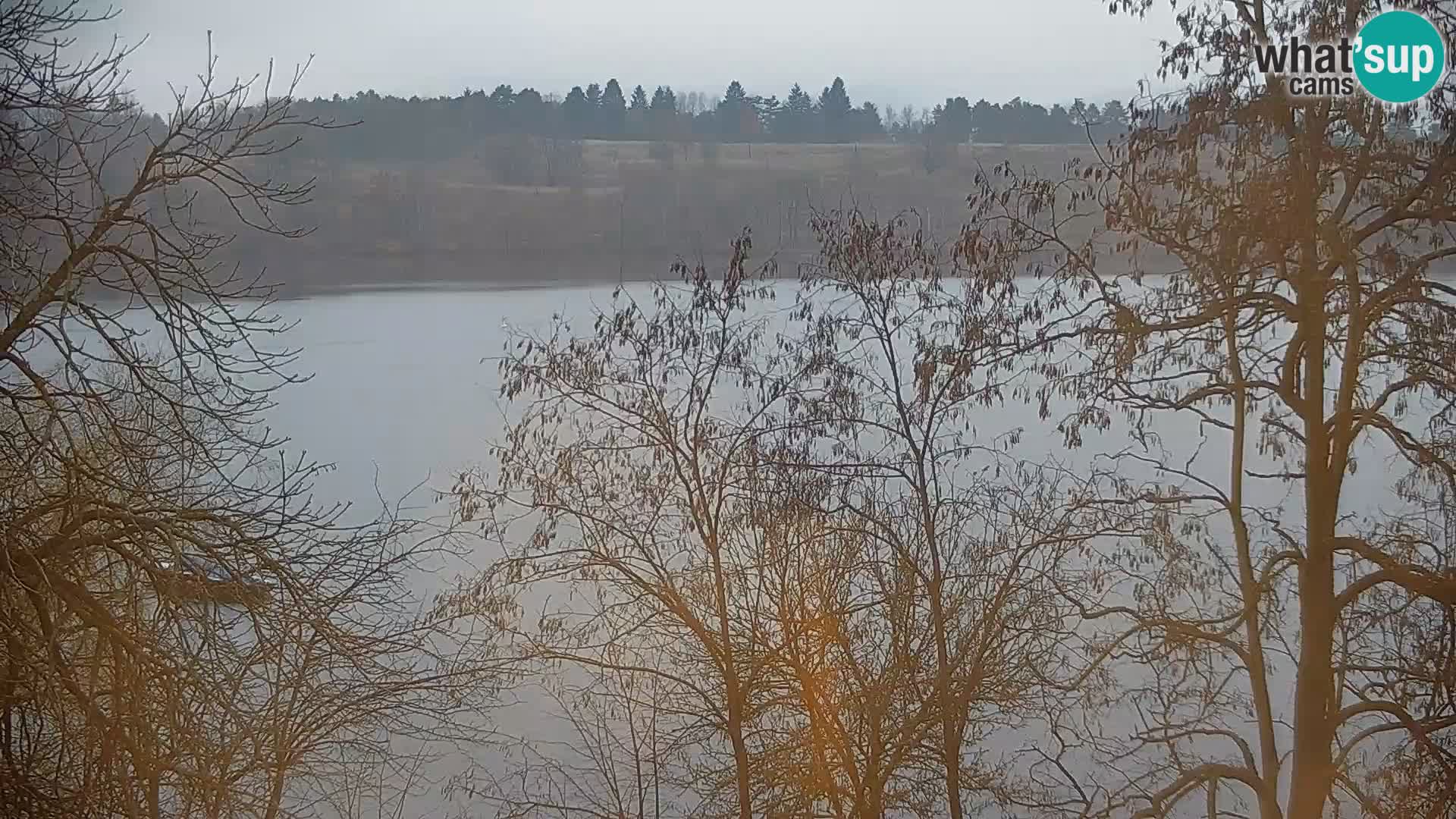 Kamera v živo Kočevsko jezero