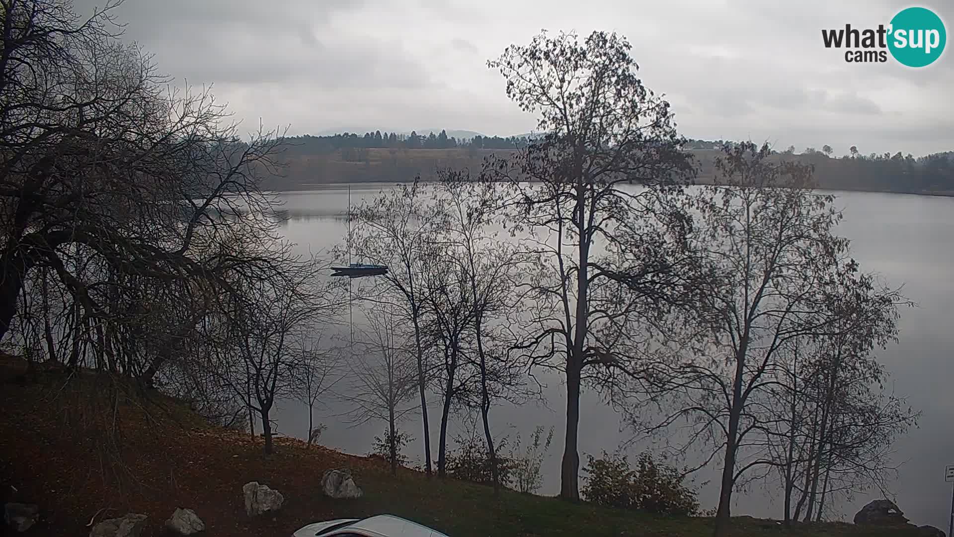 Live Webcam Kočevje lake