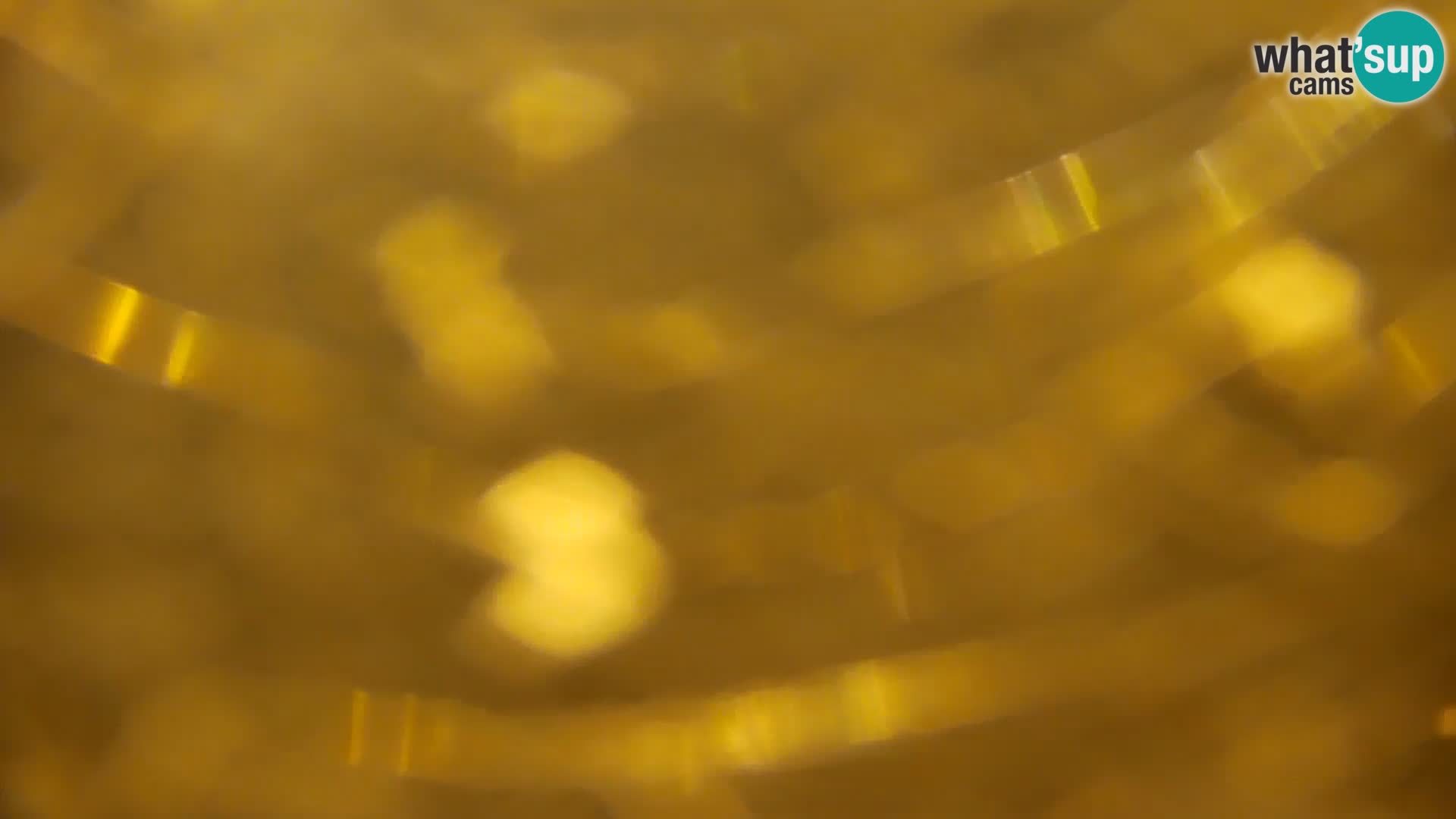 Camera en vivo Lago Kočevje