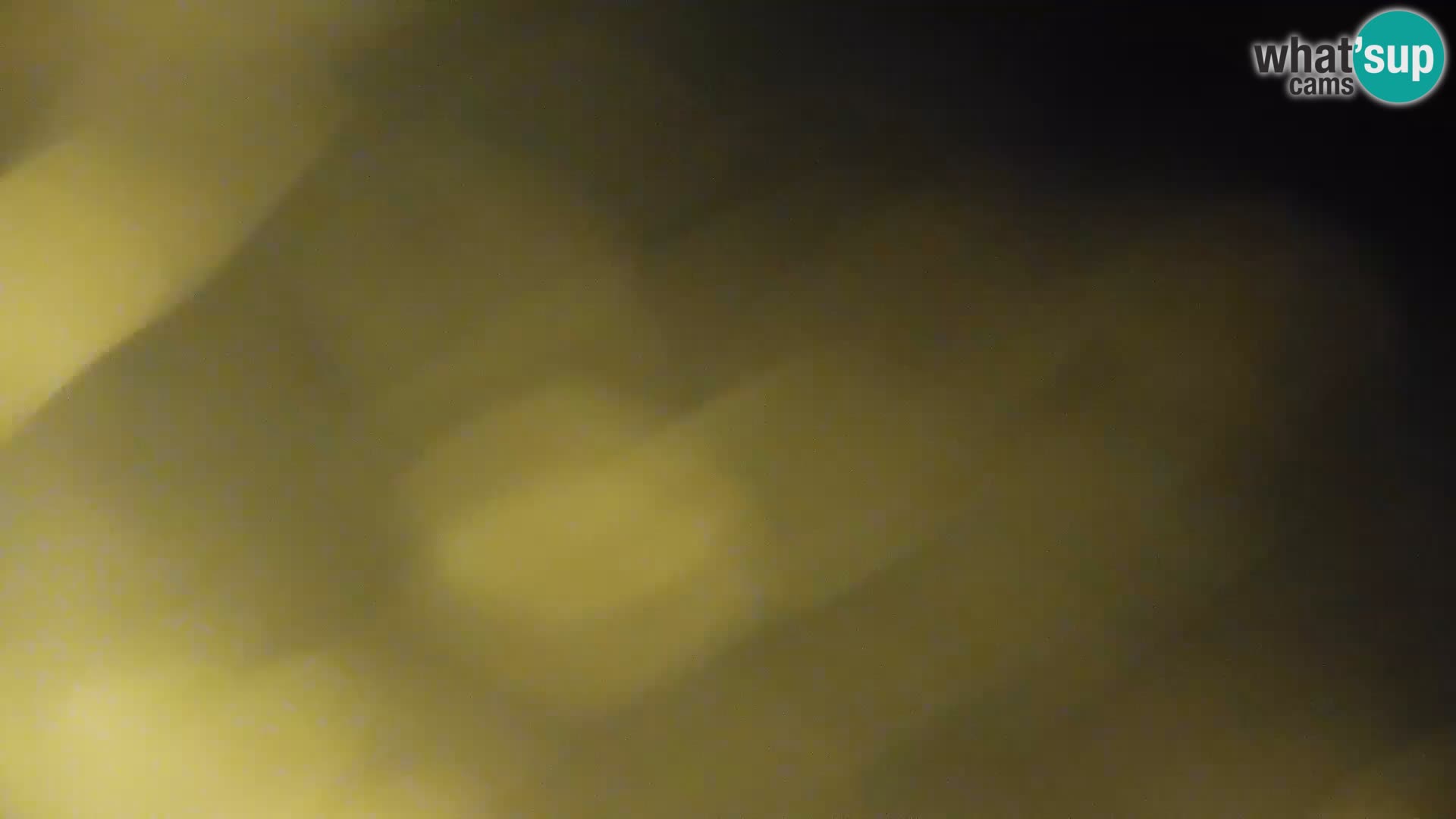 Camera en vivo Lago Kočevje