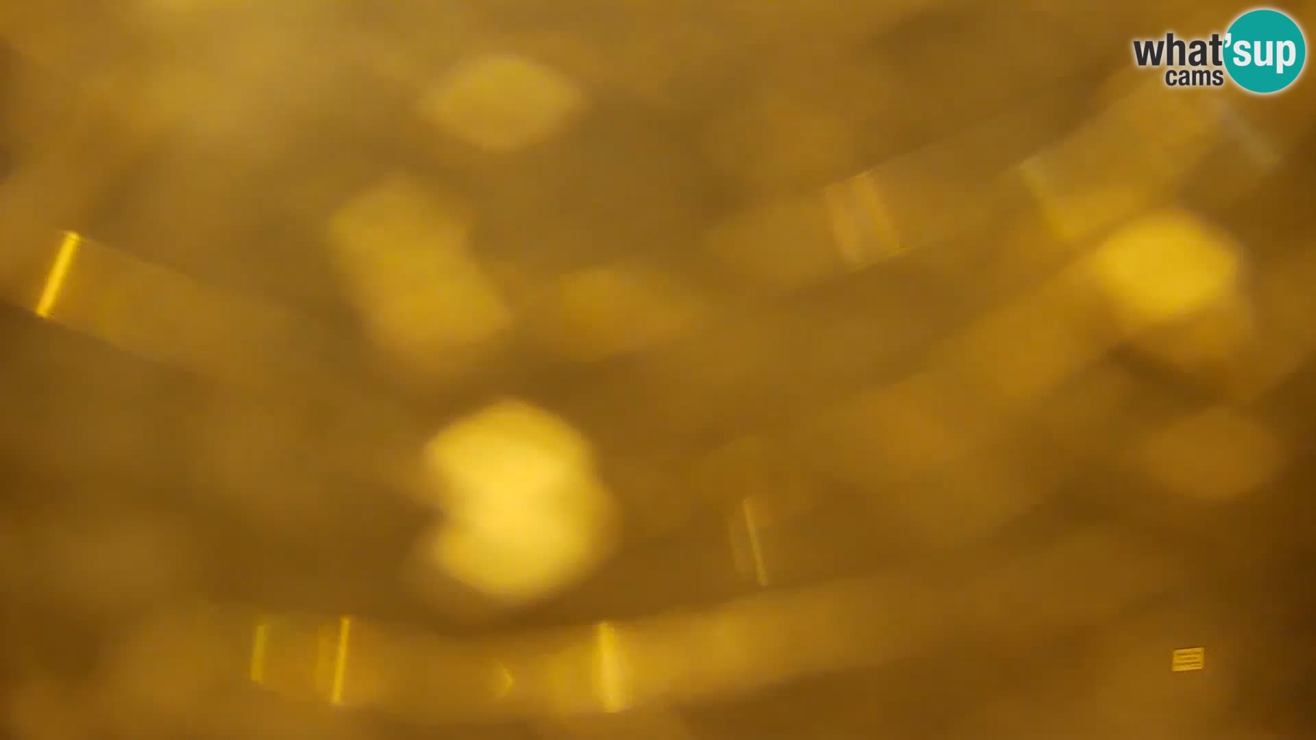 Live Webcam lago di Kočevje – Slovenia