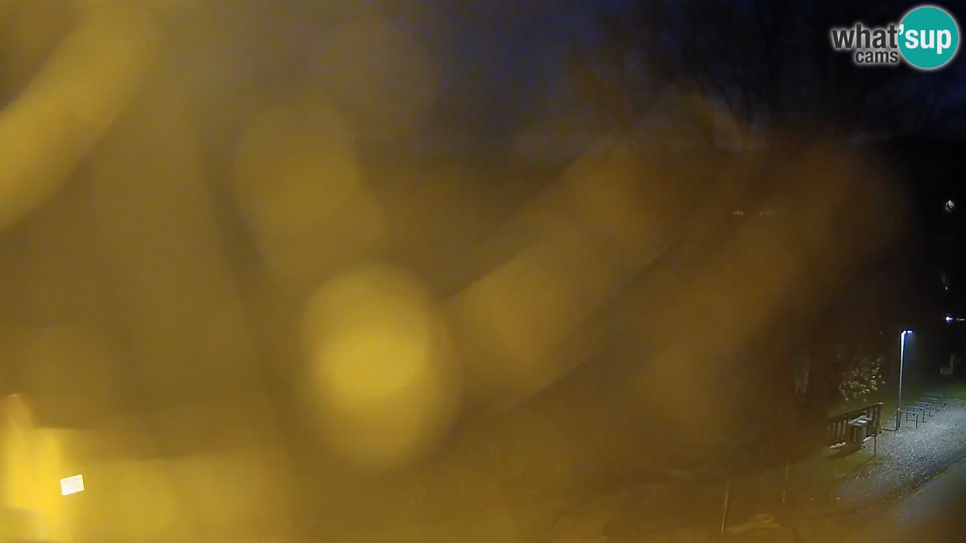 Live Webcam lago di Kočevje – Slovenia