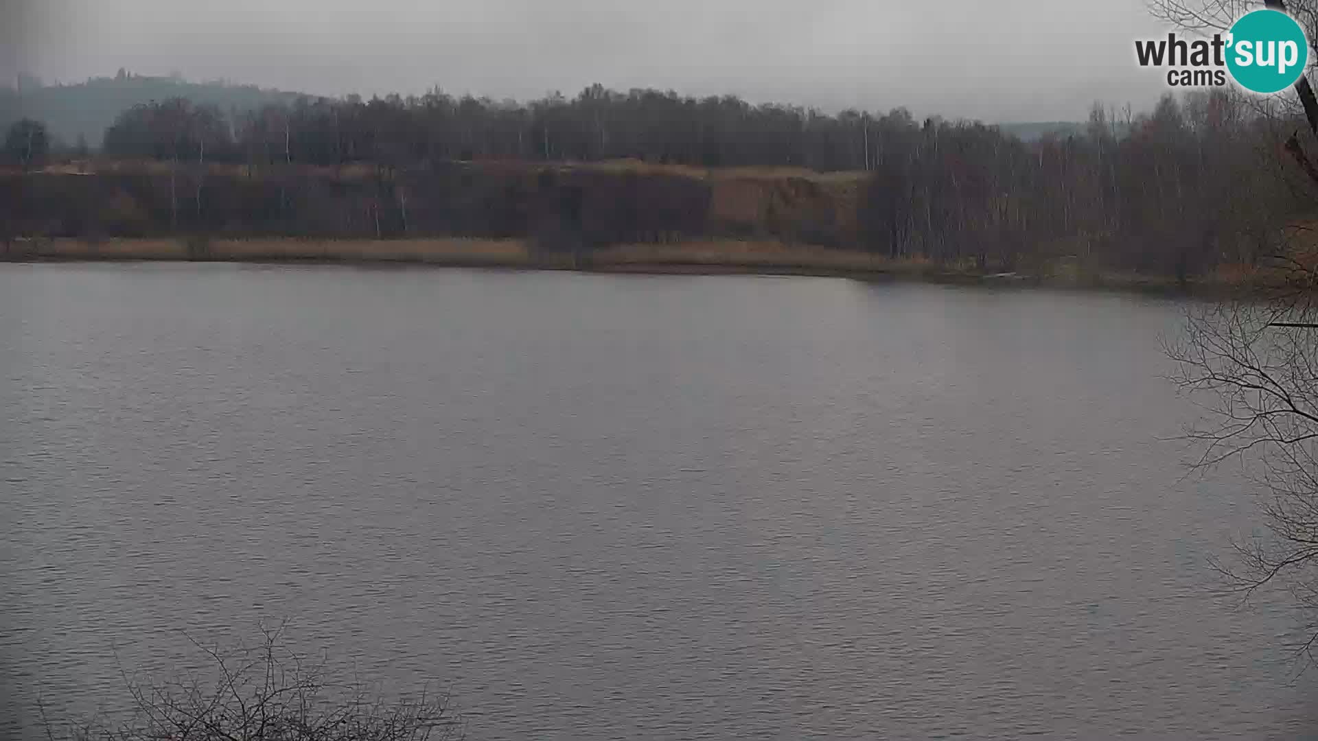 Kamera v živo Kočevsko jezero