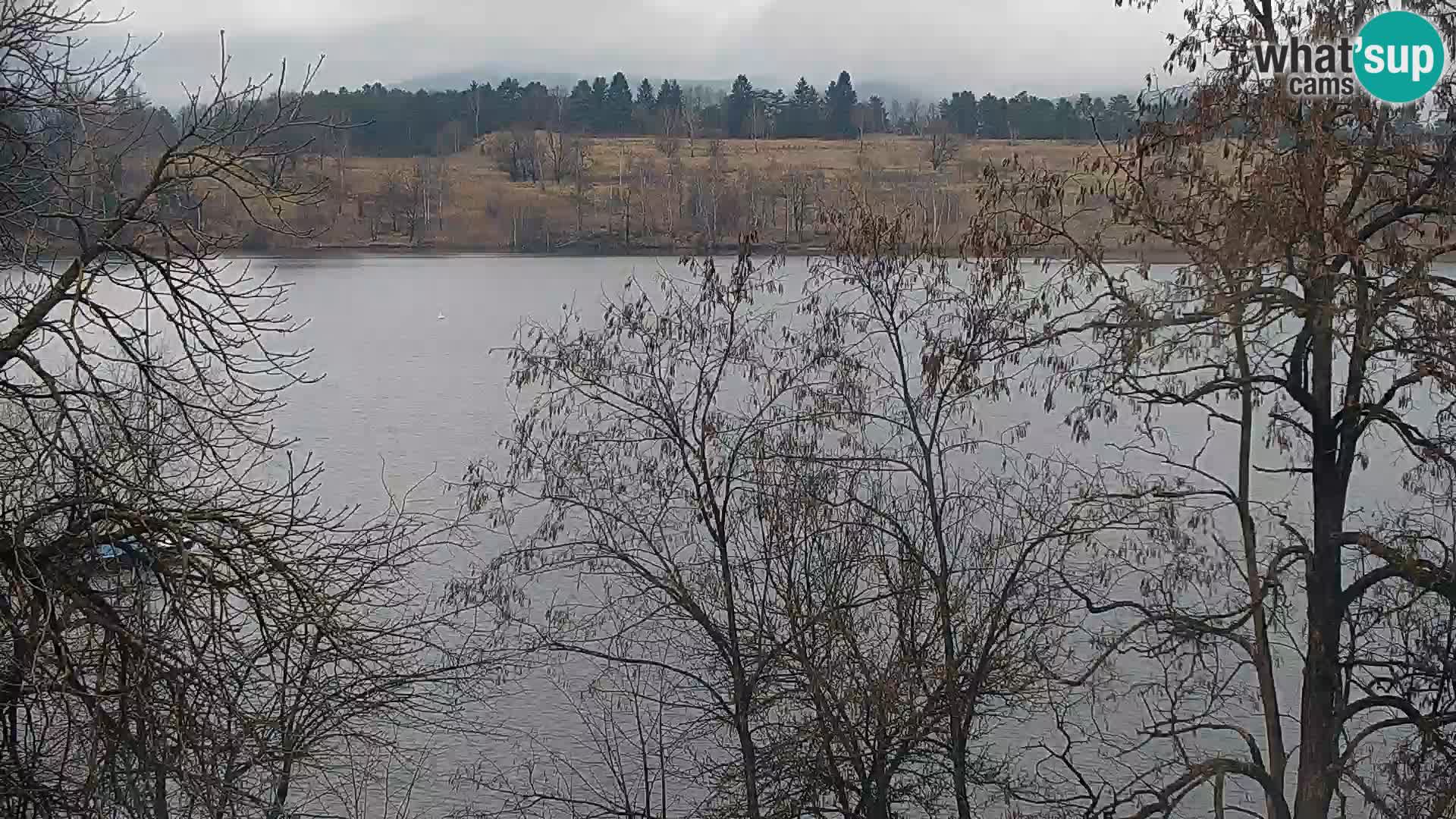 Livecam Lac Kočevje
