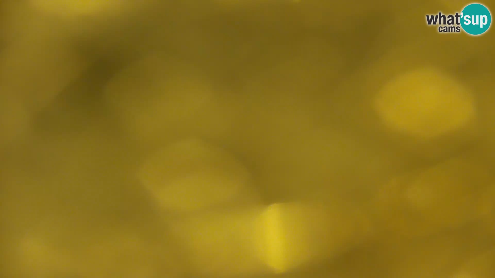 Live Webcam Kočevje-See – Slowenien