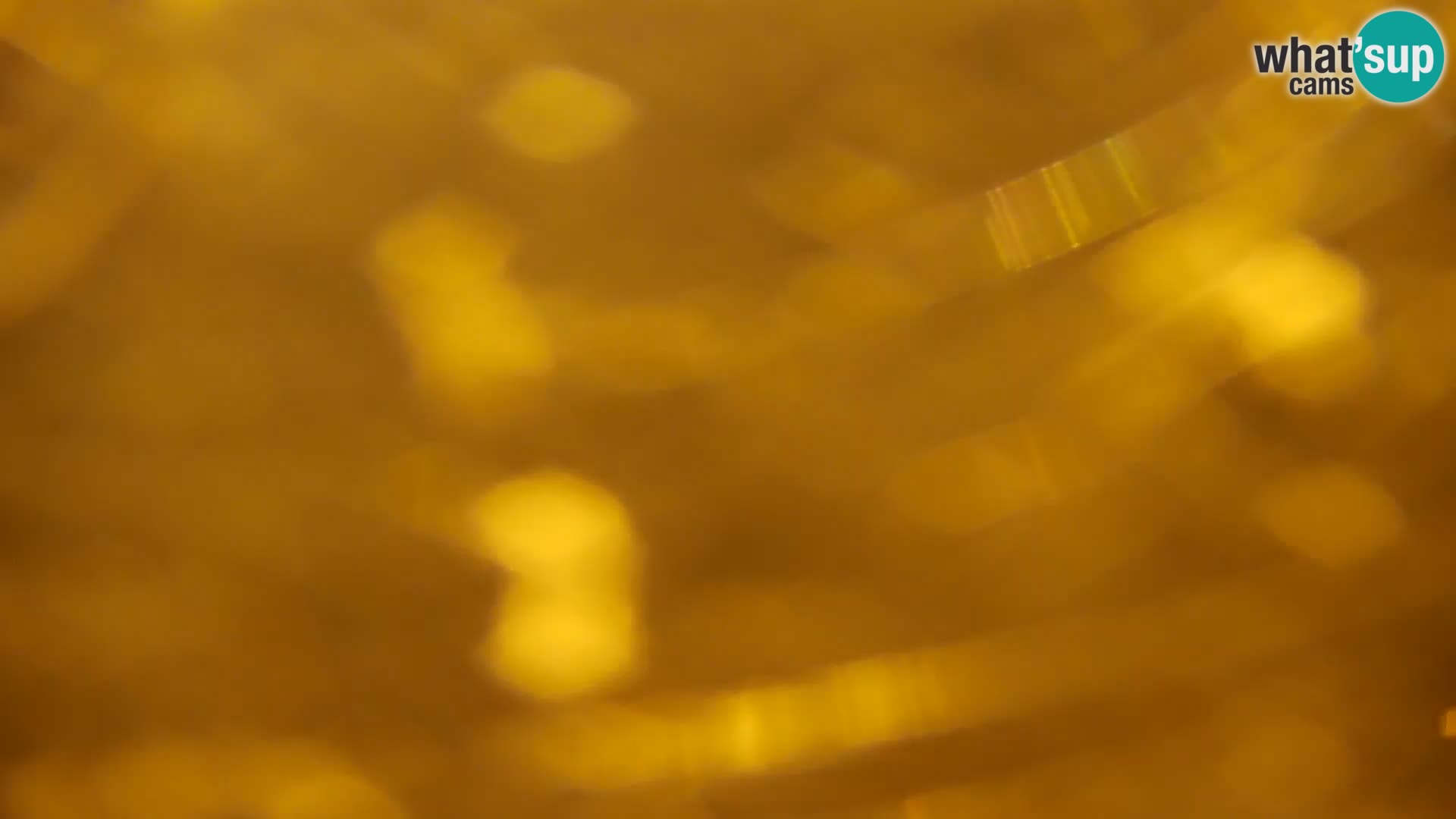 Camera en vivo Lago Kočevje