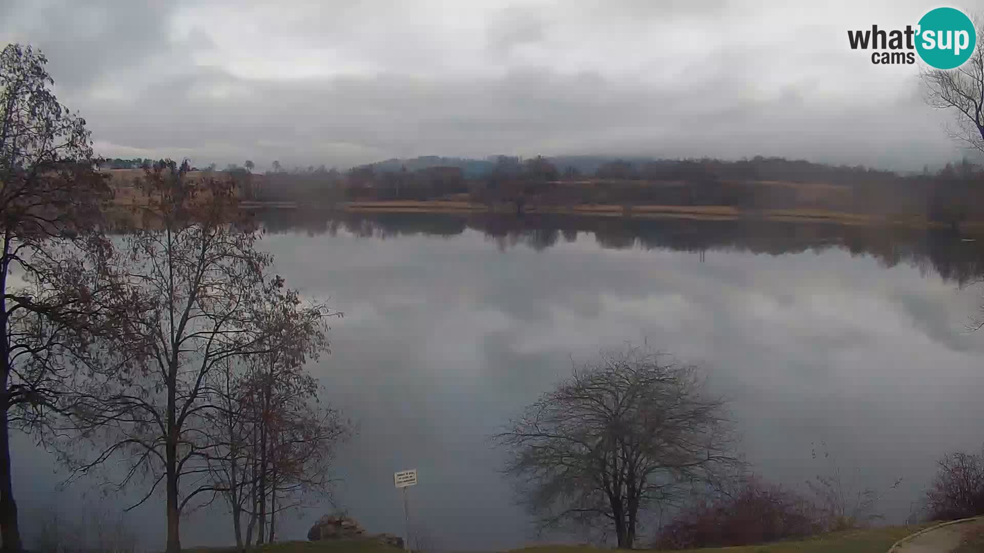 Kamera v živo Kočevsko jezero