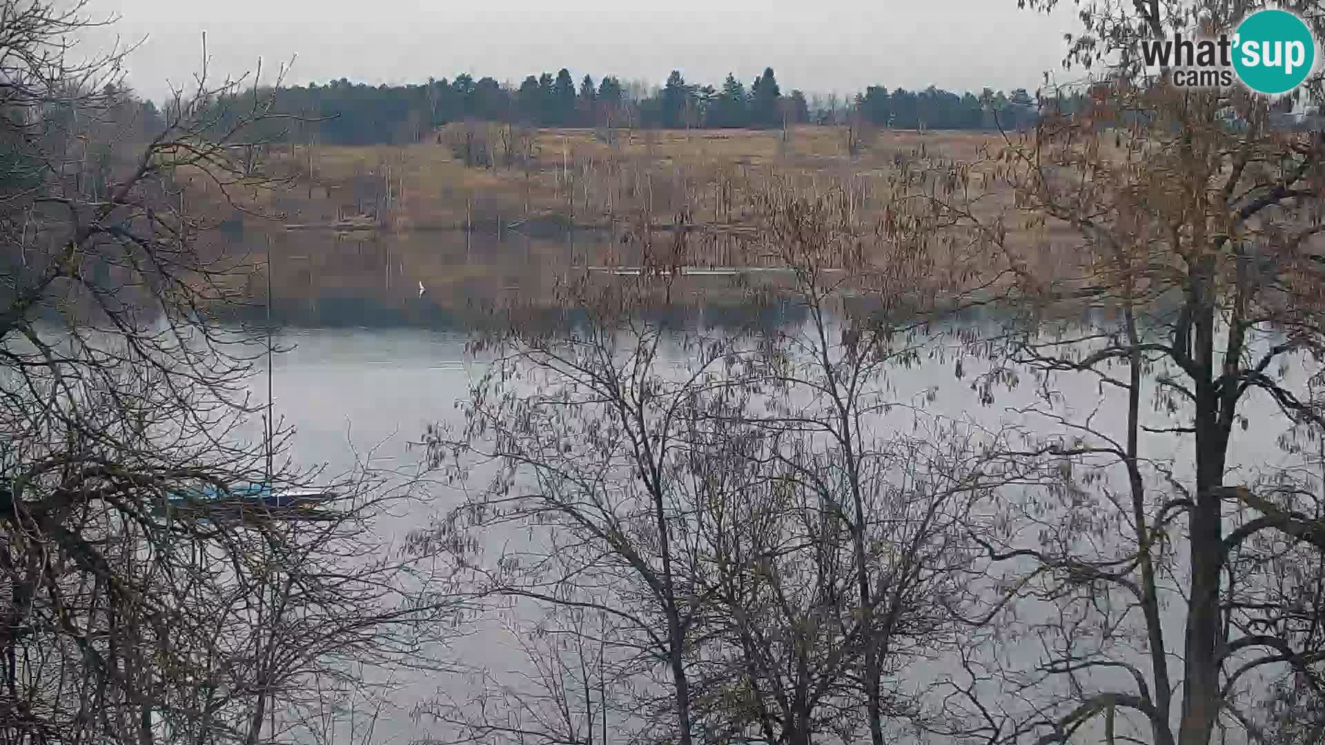 Live Webcam lago di Kočevje – Slovenia