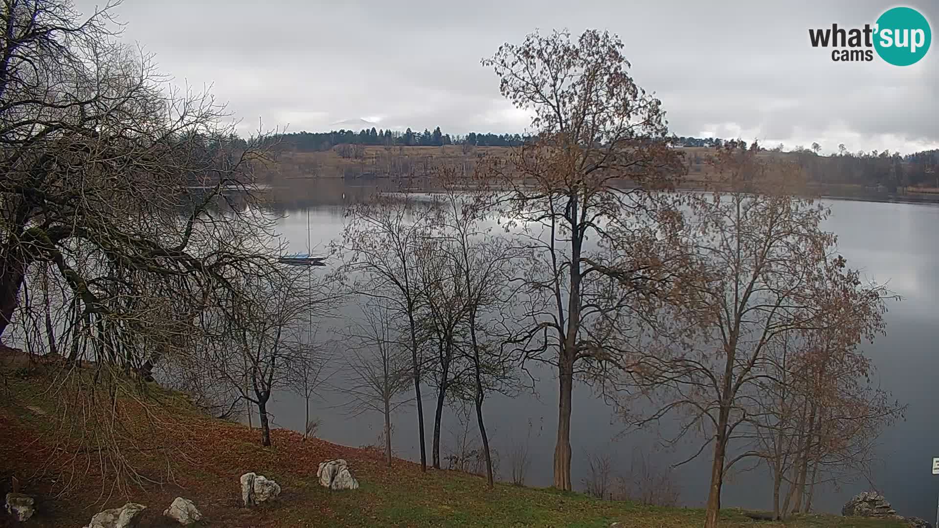 Web kamera Kočevje jezero – Slovenija
