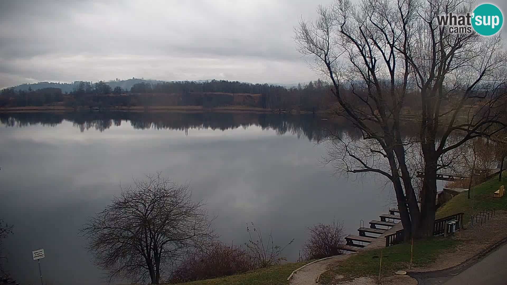 Web kamera Kočevje jezero – Slovenija