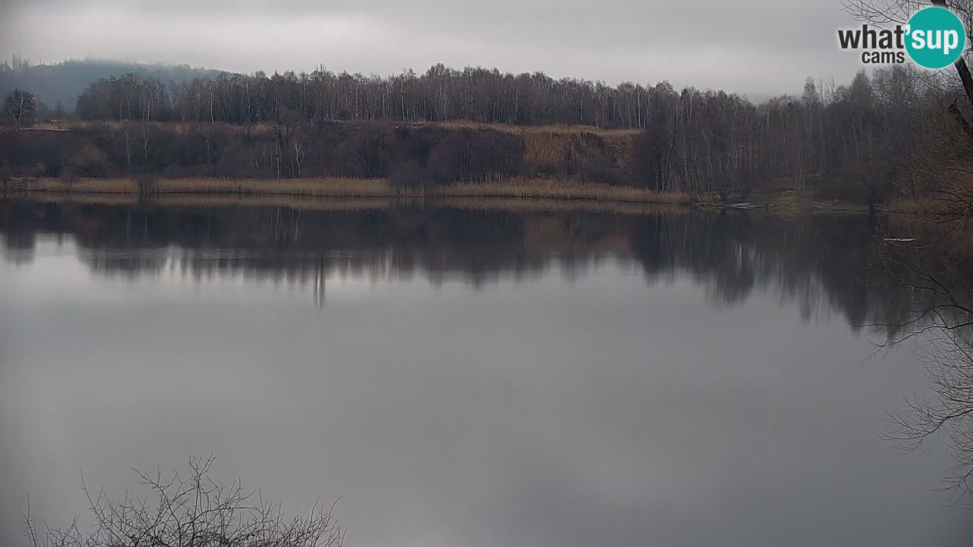 Camera en vivo Lago Kočevje