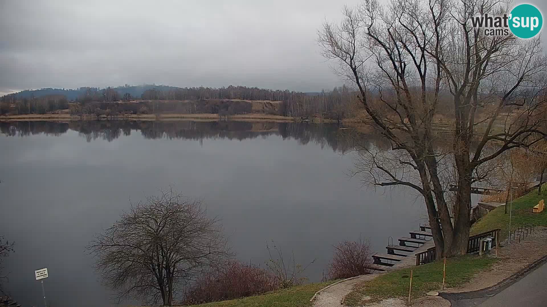 Live Webcam Kočevje lake