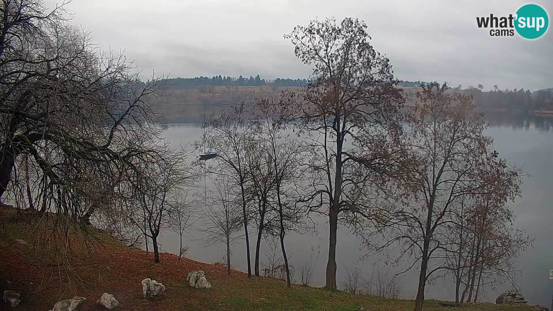 Camera en vivo Lago Kočevje