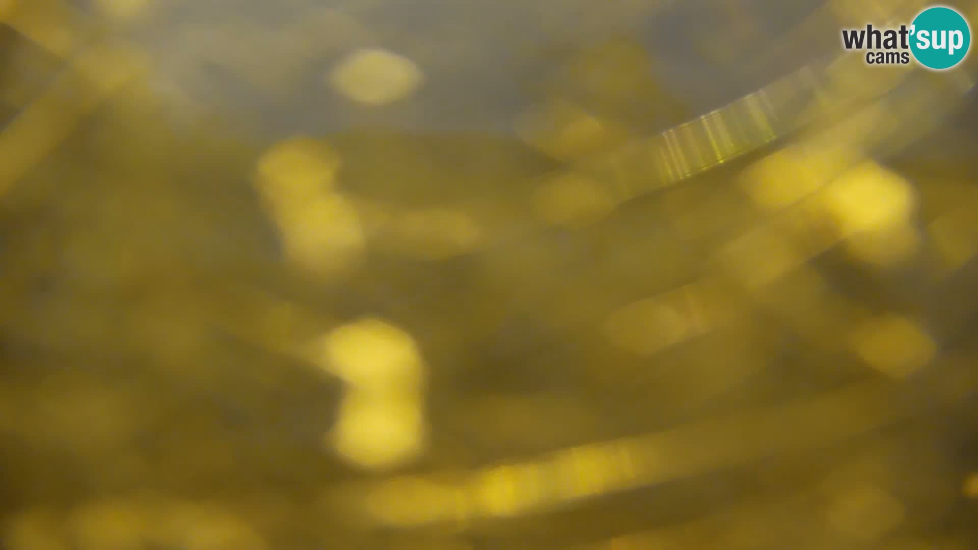 Livecam Lac Kočevje